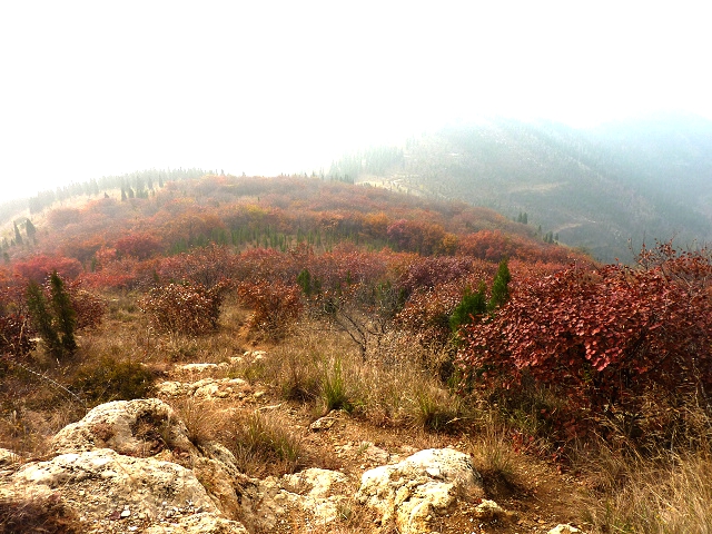 P1200153.jpg