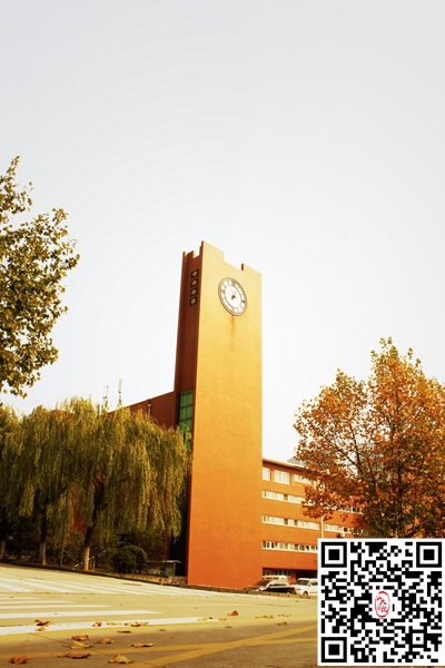 当清晨的钟缓缓敲响