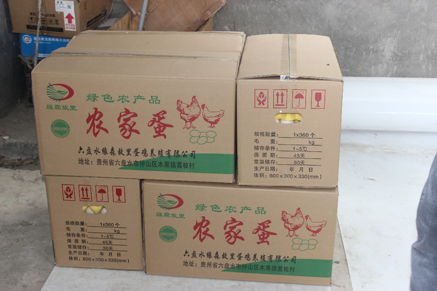 AF569