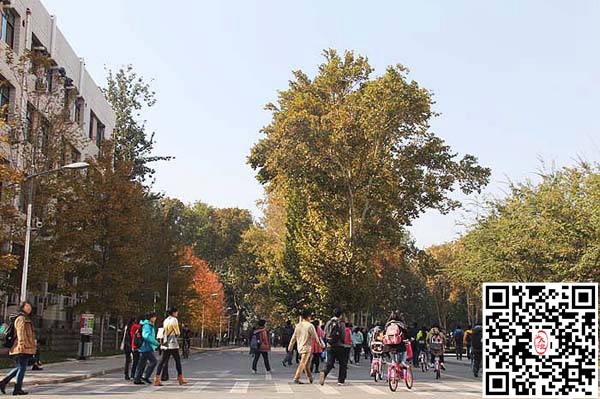 成为风景.JPG