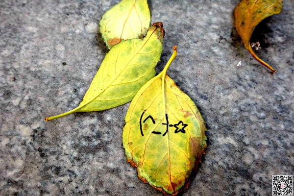 图片7.jpg